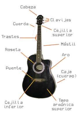 Estructura de la guitarra